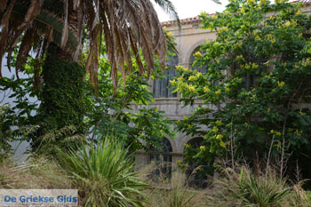 Loutra Tinos | Griekenland | Foto 18 - Foto van https://www.grieksegids.nl/fotos/tinos/normaal/loutra-tinos-018.jpg