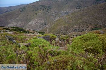 Noordoost Tinos | Griekenland | Foto 11 - Foto van https://www.grieksegids.nl/fotos/tinos/normaal/noordoost-tinos-011.jpg