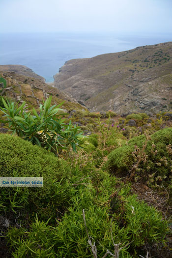 Noordoost Tinos | Griekenland | Foto 12 - Foto van https://www.grieksegids.nl/fotos/tinos/normaal/noordoost-tinos-012.jpg