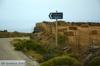 Noordoost Tinos | Griekenland | Foto 19 - Foto van https://www.grieksegids.nl/fotos/tinos/normaal/noordoost-tinos-019.jpg