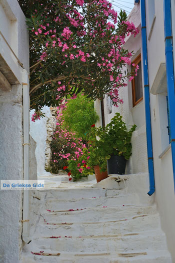 Pyrgos Tinos | Griekenland | Fotto 47 - Foto van https://www.grieksegids.nl/fotos/tinos/normaal/pyrgos-tinos-047.jpg