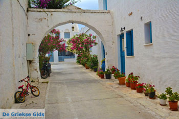 Pyrgos Tinos | Griekenland | Fotto 51 - Foto van https://www.grieksegids.nl/fotos/tinos/normaal/pyrgos-tinos-051.jpg