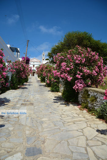 Steni Tinos | Griekenland | Foto 14 - Foto van https://www.grieksegids.nl/fotos/tinos/normaal/steni-tinos-014.jpg