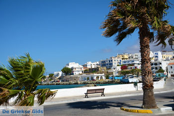 Tinos stad | Griekenland 49 - Foto van https://www.grieksegids.nl/fotos/tinos/normaal/tinos-stad-049.jpg