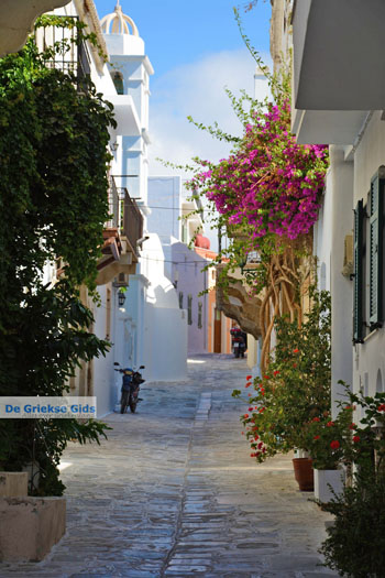 Tinos stad | Griekenland 63 - Foto van https://www.grieksegids.nl/fotos/tinos/normaal/tinos-stad-063.jpg