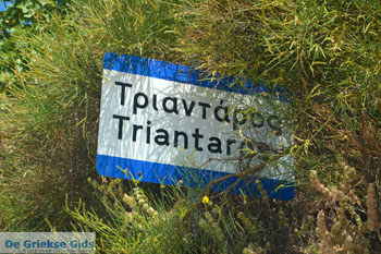 Triantaros bij Dyo Choria Tinos | Griekenland | Foto 4 - Foto van https://www.grieksegids.nl/fotos/tinos/normaal/triantaros-tinos-004.jpg