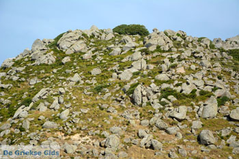 Volax | Volakas Tinos | Griekenland foto 1 - Foto van https://www.grieksegids.nl/fotos/tinos/normaal/volakas-volax-tinos-001.jpg