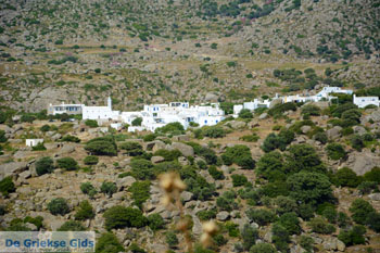 Volax | Volakas Tinos | Griekenland foto 2 - Foto van https://www.grieksegids.nl/fotos/tinos/normaal/volakas-volax-tinos-002.jpg