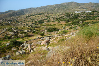 Volax | Volakas Tinos | Griekenland foto 4 - Foto van https://www.grieksegids.nl/fotos/tinos/normaal/volakas-volax-tinos-004.jpg