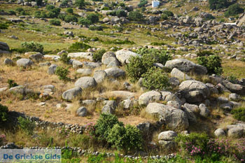 Volax | Volakas Tinos | Griekenland foto 5 - Foto van https://www.grieksegids.nl/fotos/tinos/normaal/volakas-volax-tinos-005.jpg