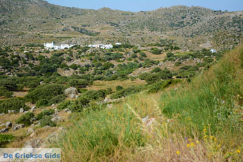 Volax | Volakas Tinos | Griekenland foto 6 - Foto van https://www.grieksegids.nl/fotos/tinos/normaal/volakas-volax-tinos-006.jpg