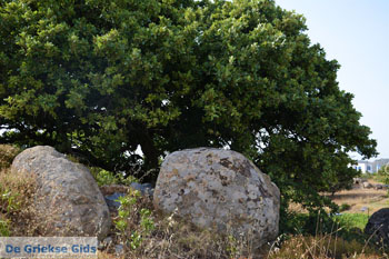 Volax | Volakas Tinos | Griekenland foto 7 - Foto van https://www.grieksegids.nl/fotos/tinos/normaal/volakas-volax-tinos-007.jpg