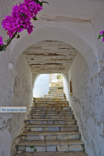 Ysternia Tinos | Isternia | Griekenland foto 4 - Foto van https://www.grieksegids.nl/fotos/tinos/normaal/ysternia-tinos-004.jpg