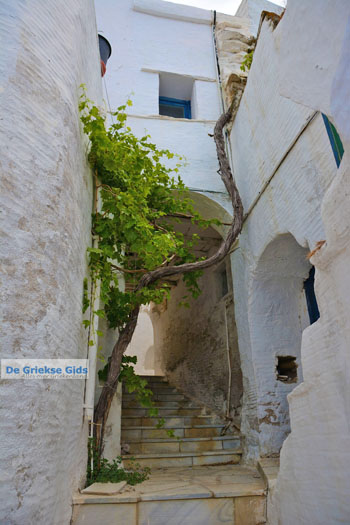 Ysternia Tinos | Isternia | Griekenland foto 7 - Foto van https://www.grieksegids.nl/fotos/tinos/normaal/ysternia-tinos-007.jpg
