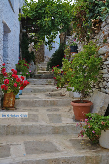 Ysternia Tinos | Isternia | Griekenland foto 31 - Foto van https://www.grieksegids.nl/fotos/tinos/normaal/ysternia-tinos-031.jpg