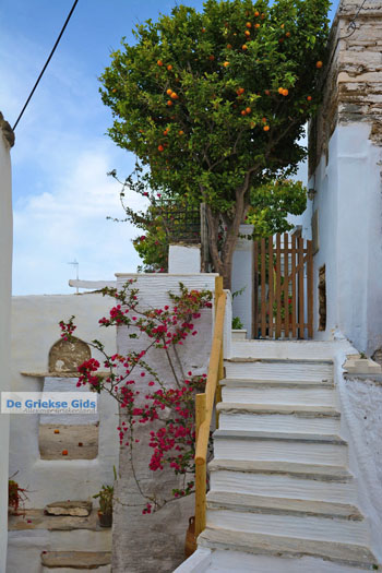 Ysternia Tinos | Isternia | Griekenland foto 32 - Foto van https://www.grieksegids.nl/fotos/tinos/normaal/ysternia-tinos-032.jpg