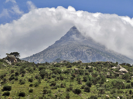 Het noorden van Chios - Foro Doortje van Lieshout