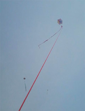 Vliegers in de hemel