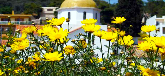 Agistri - Agkistri     Foto: Henriette en Bryan Robinson (Agistri Club)