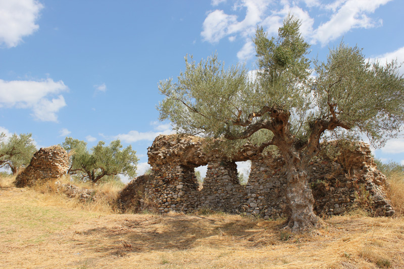 Sparta - Foto Marcel Fens