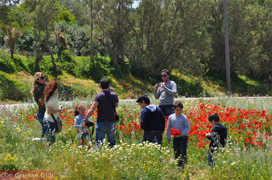 Lente in Griekenland