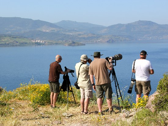 Vogelaars op Lesbos (foto Ed Peereboom)