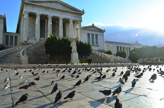 Athene - Foto Marleen Veldhorst