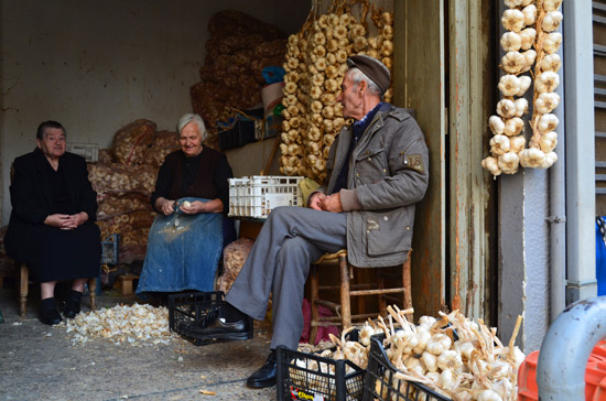 Athene - Foto Marleen Veldhorst