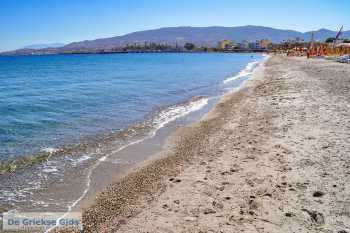 Strand bij Lambi beach op eiland Kos - De Griekse Gids - Foto van https://www.grieksegids.nl/fotos/uploads-thumb/04-04-20/1585991143._foto-van-strand-lambi-bij-kos-stad.jpg