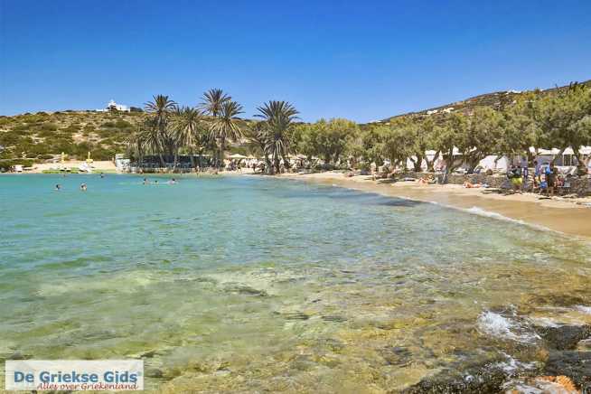 Agia Irini Beach Paros Cycladen - De Griekse Gids - Foto van De Griekse Gids