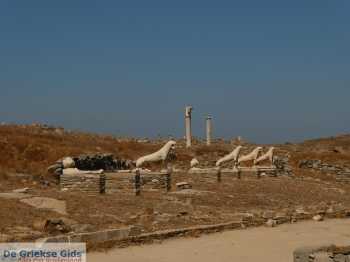 Delos - De Griekse Gids - Foto van Mariet Hoeve.