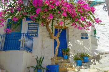 Anos Syros - De Griekse Gids - Foto van De Griekse Gids