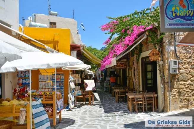 Dodecanese Kos Kos stad - De Griekse Gids - Foto van Mano Nikolidakis - De Griekse Gids