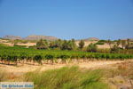 Foto Lassithi Kreta Kreta GriechenlandWeb - Foto GriechenlandWeb.de