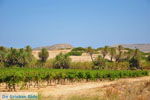 Foto Lassithi Kreta Kreta GriechenlandWeb - Foto GriechenlandWeb.de