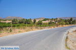 GriechenlandWeb.de Vai Kreta | Lassithi Kreta | GriechenlandWeb.de foto 3 - Foto GriechenlandWeb.de