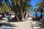 Foto Lassithi Kreta Kreta GriechenlandWeb - Foto GriechenlandWeb.de