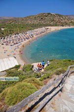 GriechenlandWeb.de Vai Kreta | Lassithi Kreta | GriechenlandWeb.de foto 36 - Foto GriechenlandWeb.de