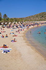 GriechenlandWeb Vai Kreta | Lassithi Kreta | GriechenlandWeb.de foto 42 - Foto GriechenlandWeb.de