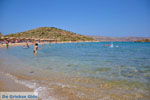 GriechenlandWeb.de Vai Kreta | Lassithi Kreta | GriechenlandWeb.de foto 44 - Foto GriechenlandWeb.de
