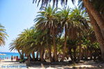 Foto Lassithi Kreta Kreta GriechenlandWeb - Foto GriechenlandWeb.de