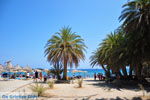Foto Lassithi Kreta Kreta GriechenlandWeb - Foto GriechenlandWeb.de