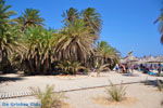 Foto Lassithi Kreta Kreta GriechenlandWeb - Foto GriechenlandWeb.de