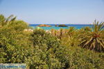 Foto Lassithi Kreta Kreta GriechenlandWeb - Foto GriechenlandWeb.de