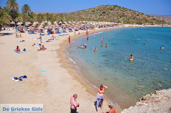Vai Kreta | Lassithi Kreta Griekenland 10 - Foto van https://www.grieksegids.nl/fotos/vai/normaal/vai-kreta-010.jpg