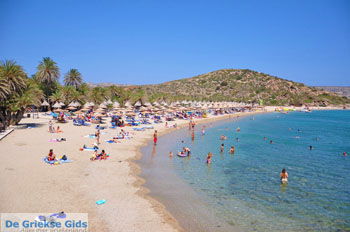 Vai Kreta | Lassithi Kreta Griekenland 11 - Foto van https://www.grieksegids.nl/fotos/vai/normaal/vai-kreta-011.jpg
