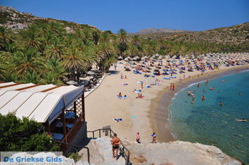 Vai Kreta | Lassithi Kreta Griekenland 13 - Foto van https://www.grieksegids.nl/fotos/vai/normaal/vai-kreta-013.jpg