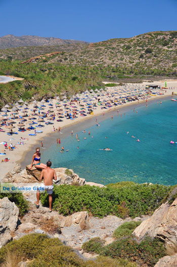 Vai Kreta | Lassithi Kreta Griekenland 27 - Foto van https://www.grieksegids.nl/fotos/vai/normaal/vai-kreta-027.jpg