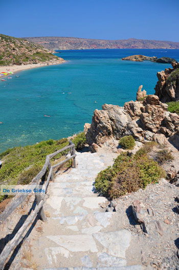 Vai Kreta | Lassithi Kreta Griekenland 35 - Foto van https://www.grieksegids.nl/fotos/vai/normaal/vai-kreta-035.jpg