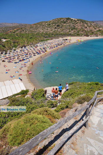 Vai Kreta | Lassithi Kreta Griekenland 36